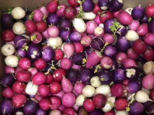 Radishes were among the bounty of fresh produce at the pantry.