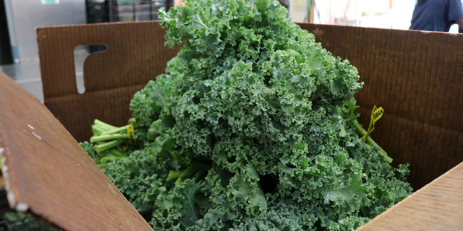 Growing Home kale