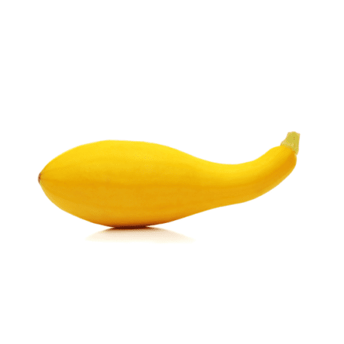 Yellow Squash Greater Chicago Food Depository