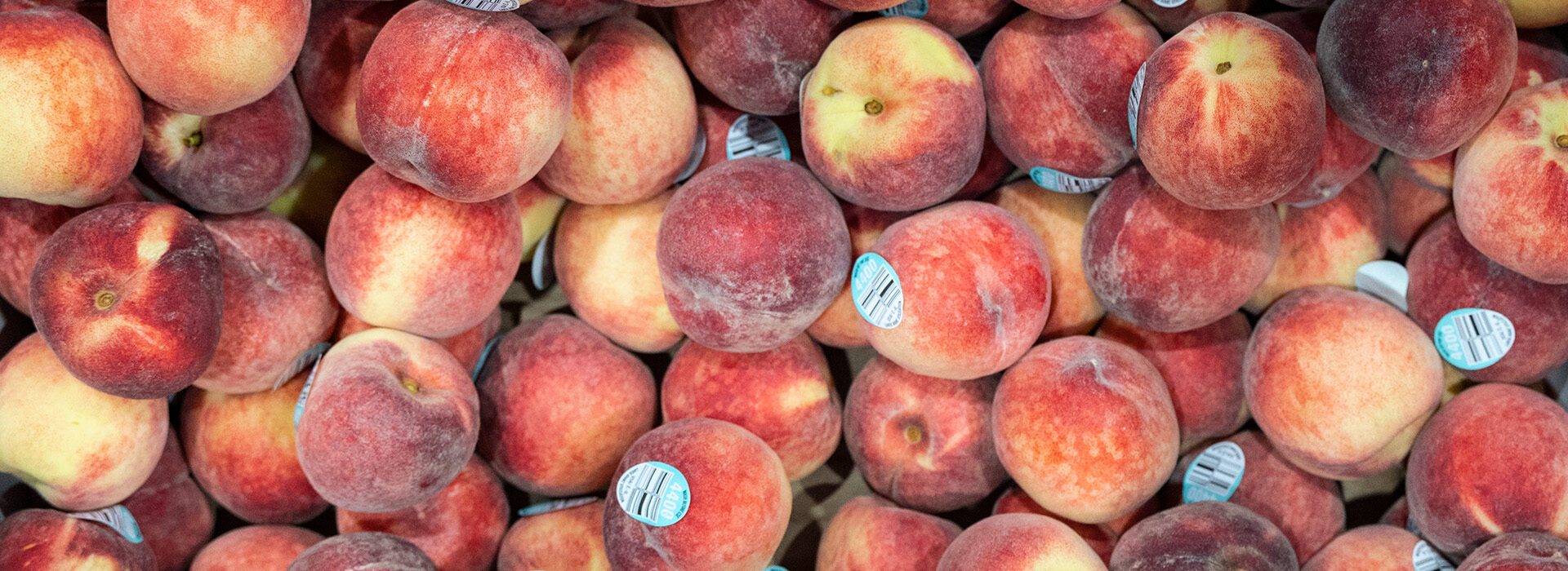 Peaches