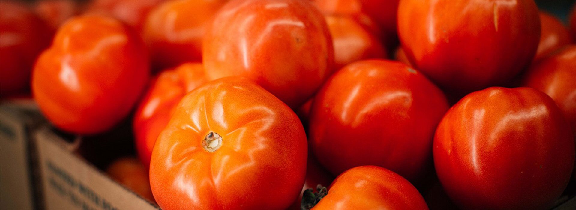 Tomatoes