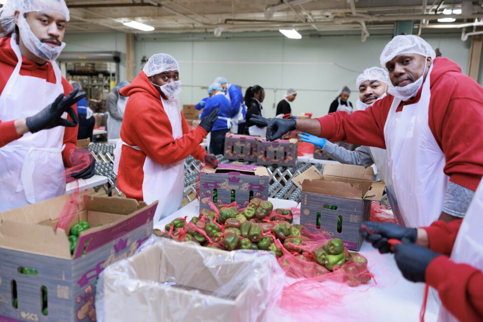Members of Kappa Alpha Psi Fraternity, Inc. packing bell peppers (photos by Terence Crayton for the Food Depository)