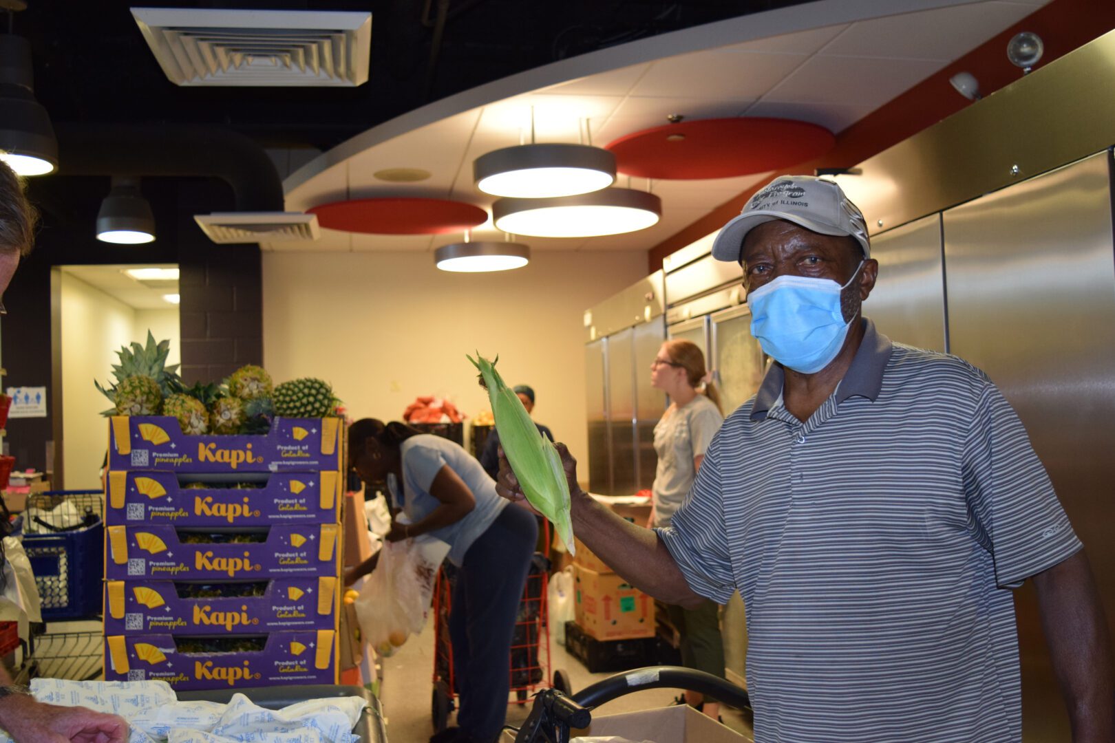 Food Pantries in Bloomington Illinois An Overview and Analysis