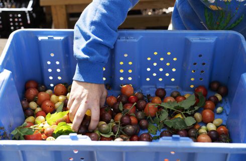 United Center Helps Store Food For Greater Chicago Food Depository