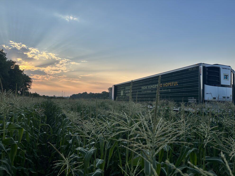 a semi truck at a corn farm