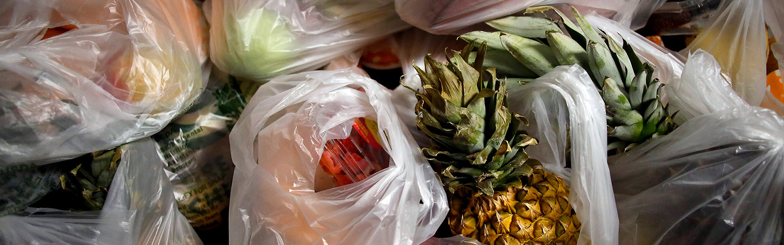 Bags of fresh produce.