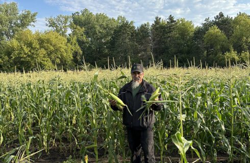 a farmer with sweet corn stands in a field of corn