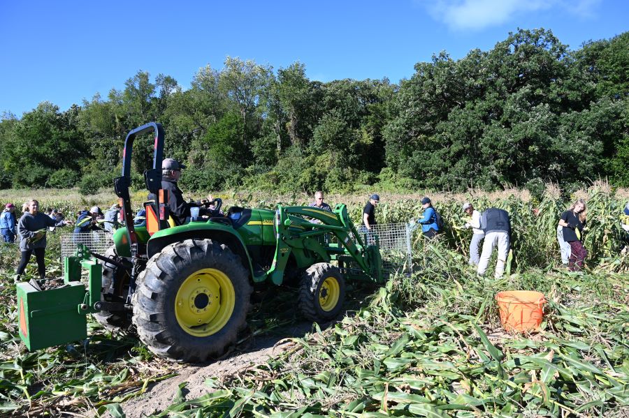 A tractor on a field