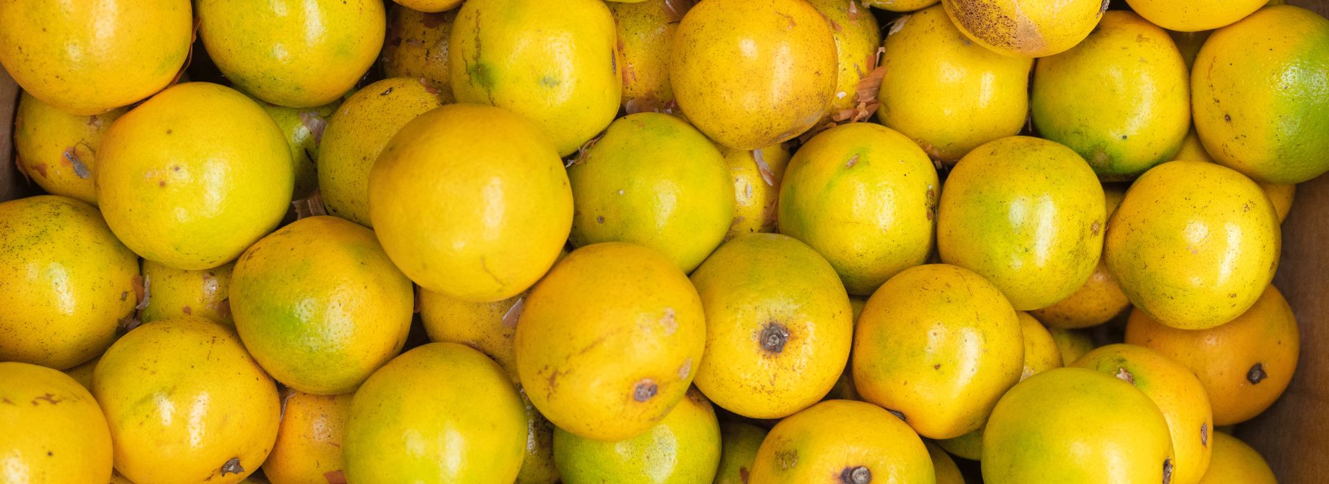 Lemons