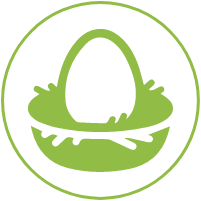 Icon of an egg in a nest