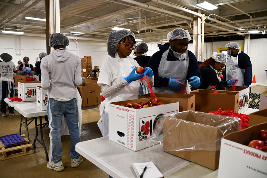 volunteers pack apples for distribution