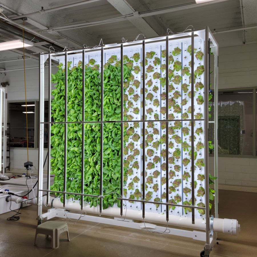 hydroponics_01_sq